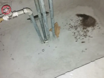 鄂托克旗卫生间测漏水价格明细