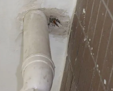 鄂托克旗漏水检测哪家好